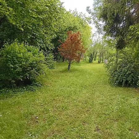 Du Vieil Acacia Celles (Dordogne)